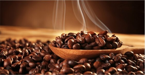 About Us Our Company 02 About Us Our Company 02